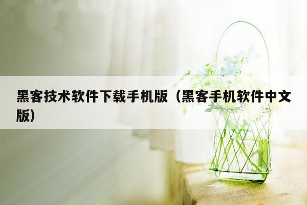 黑客技术软件下载手机版（黑客手机软件中文版）