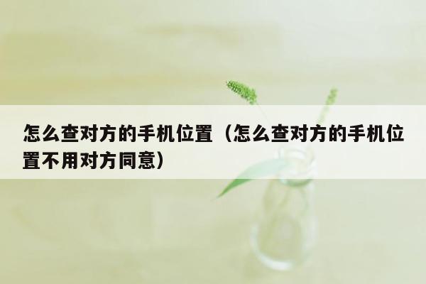 怎么查对方的手机位置（怎么查对方的手机位置不用对方同意）