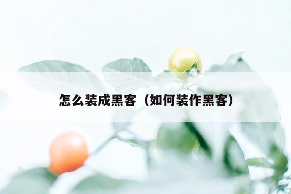 怎么装成黑客（如何装作黑客）