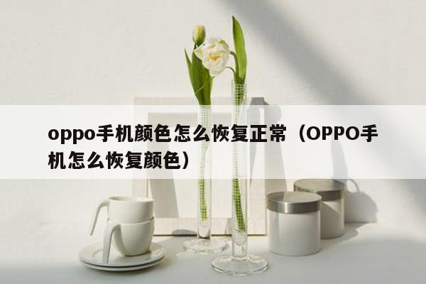 oppo手机颜色怎么恢复正常（OPPO手机怎么恢复颜色）