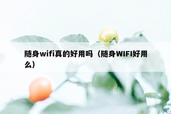 随身wifi真的好用吗（随身WIFI好用么）