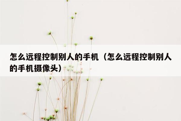 怎么远程控制别人的手机（怎么远程控制别人的手机摄像头）