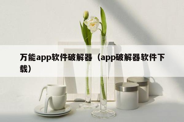 万能app软件破解器（app破解器软件下载）