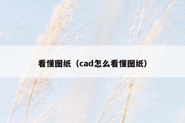 看懂图纸（cad怎么看懂图纸）