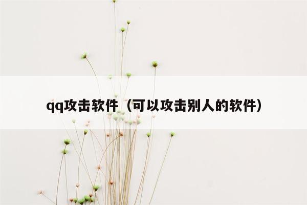 qq攻击软件（可以攻击别人的软件）