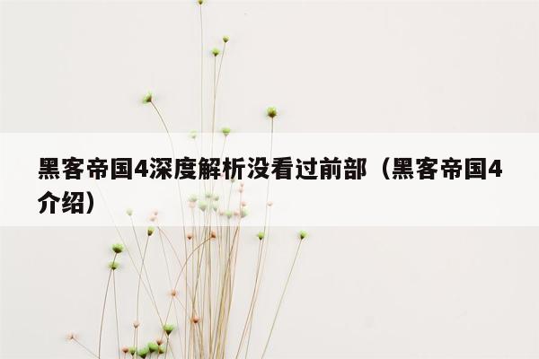 黑客帝国4深度解析没看过前部（黑客帝国4介绍）