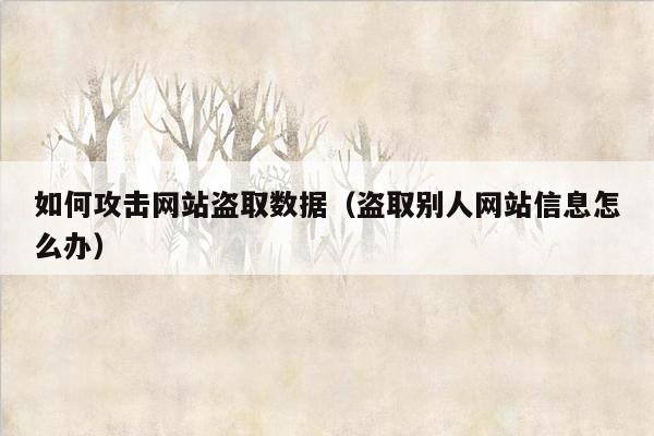 如何攻击网站盗取数据（盗取别人网站信息怎么办）