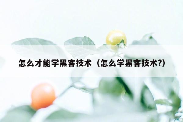 怎么才能学黑客技术（怎么学黑客技术?）