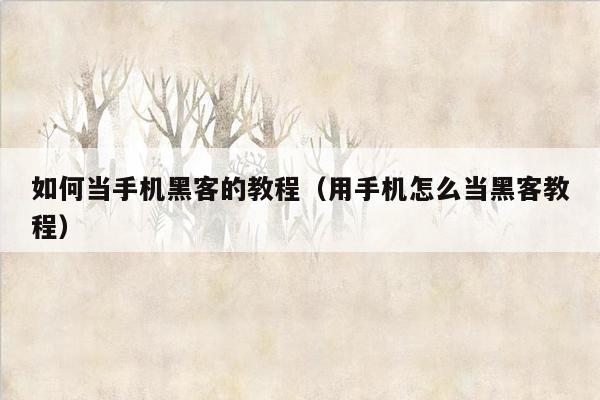 如何当手机黑客的教程（用手机怎么当黑客教程）