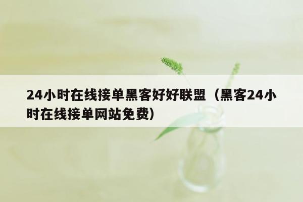 24小时在线接单黑客好好联盟（黑客24小时在线接单网站免费）