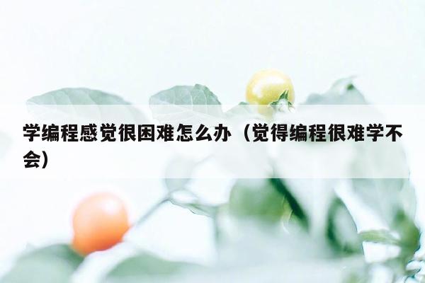 学编程感觉很困难怎么办（觉得编程很难学不会）