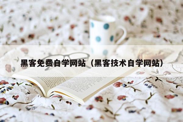 黑客免费自学网站（黑客技术自学网站）