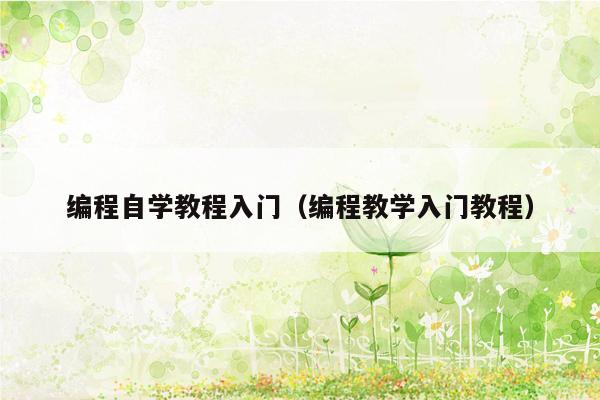 编程自学教程入门（编程教学入门教程）