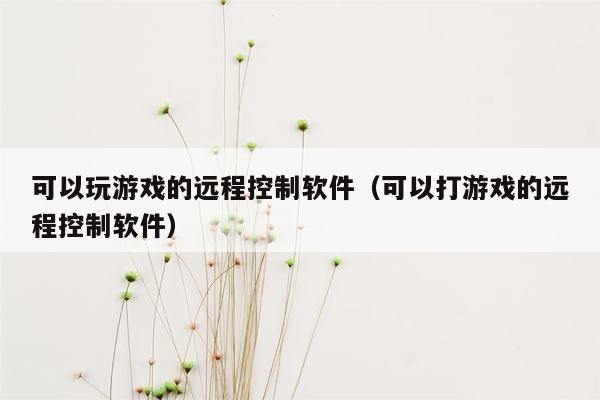 可以玩游戏的远程控制软件（可以打游戏的远程控制软件）