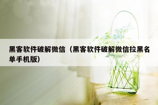 黑客软件破解微信（黑客软件破解微信拉黑名单手机版）