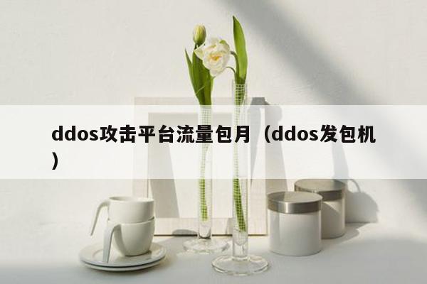 ddos攻击平台流量包月（ddos发包机）