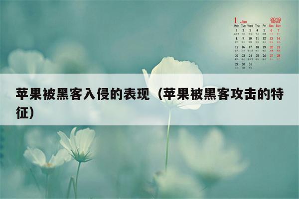 苹果被黑客入侵的表现（苹果被黑客攻击的特征）