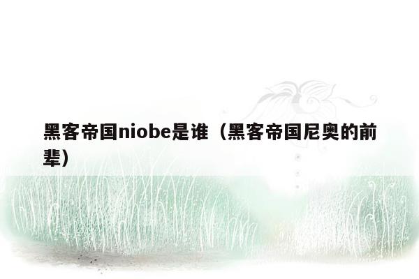 黑客帝国niobe是谁（黑客帝国尼奥的前辈）