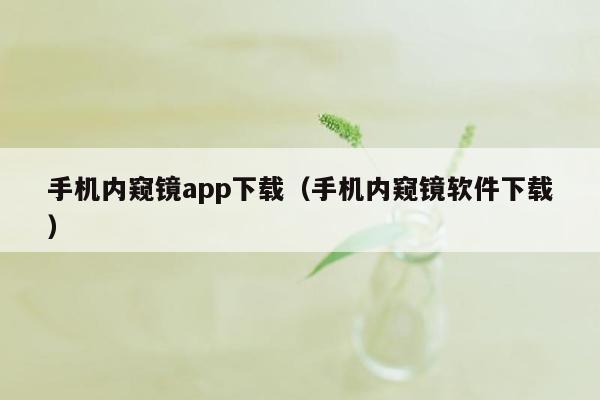 手机内窥镜app下载（手机内窥镜软件下载）