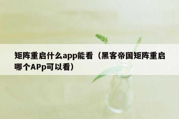 矩阵重启什么app能看（黑客帝国矩阵重启哪个APp可以看）