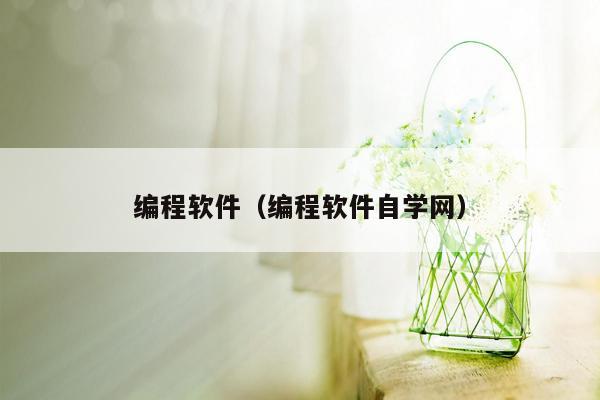 编程软件（编程软件自学网）