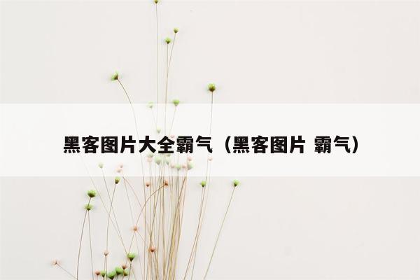 黑客图片大全霸气（黑客图片 霸气）