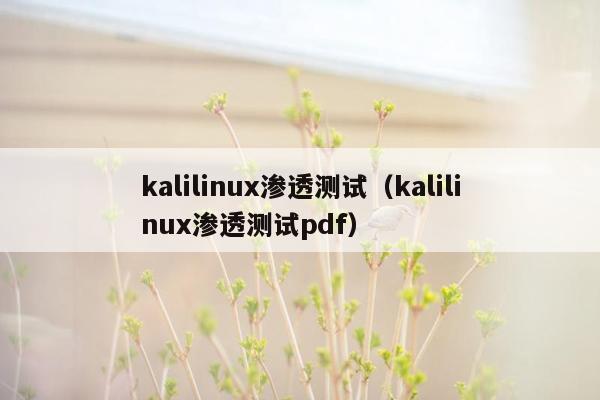 kalilinux渗透测试（kalilinux渗透测试pdf）