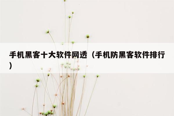 手机黑客十大软件网透（手机防黑客软件排行）