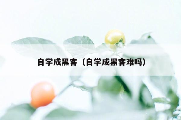 自学成黑客（自学成黑客难吗）