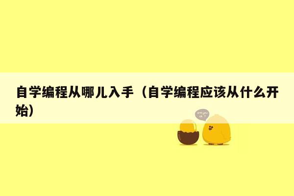 自学编程从哪儿入手（自学编程应该从什么开始）