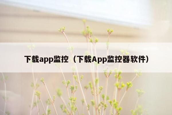 下载app监控（下载App监控器软件）