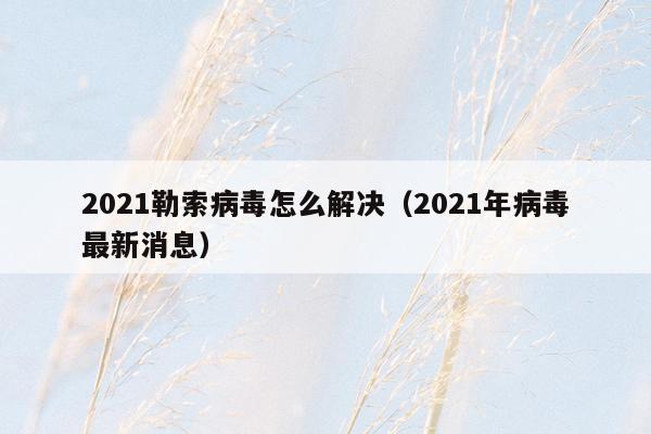 2021勒索病毒怎么解决（2021年病毒最新消息）