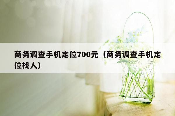 商务调查手机定位700元（商务调查手机定位找人）