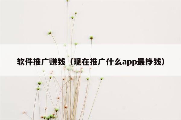 软件推广赚钱（现在推广什么app最挣钱）