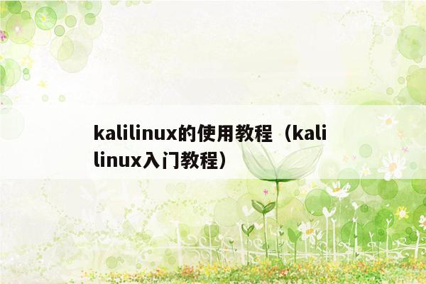 kalilinux的使用教程（kali linux入门教程）