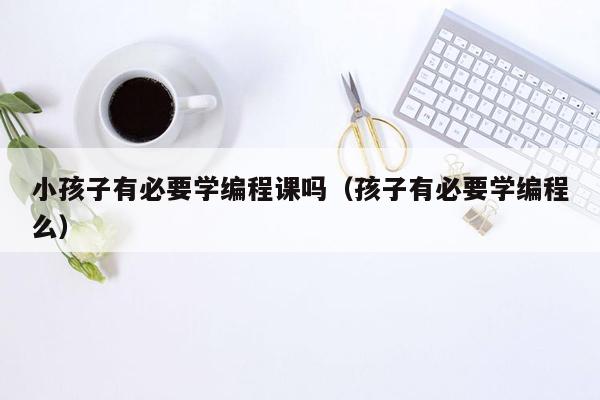 小孩子有必要学编程课吗（孩子有必要学编程么）