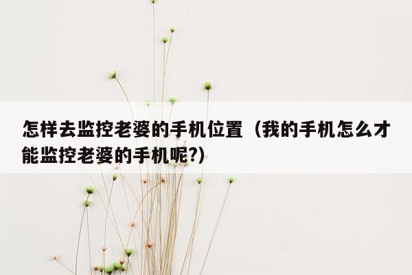 怎样去监控老婆的手机位置（我的手机怎么才能监控老婆的手机呢?）