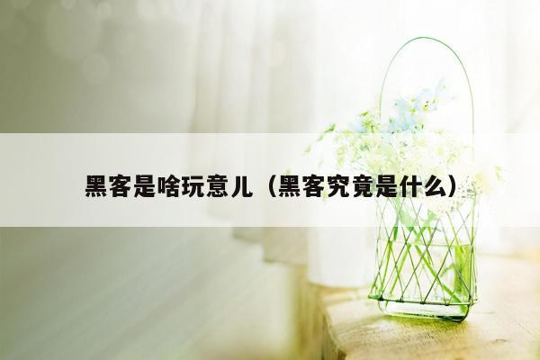 黑客是啥玩意儿（黑客究竟是什么）