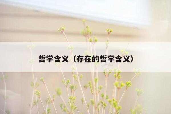 哲学含义（存在的哲学含义）