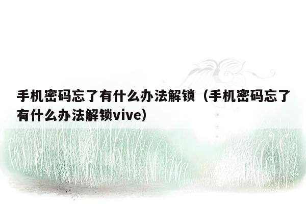 手机密码忘了有什么办法解锁（手机密码忘了有什么办法解锁vive）