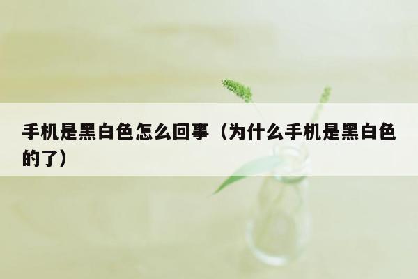 手机是黑白色怎么回事（为什么手机是黑白色的了）