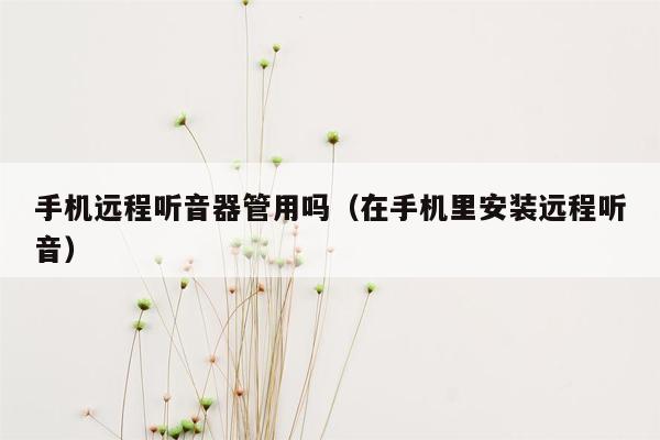 手机远程听音器管用吗（在手机里安装远程听音）