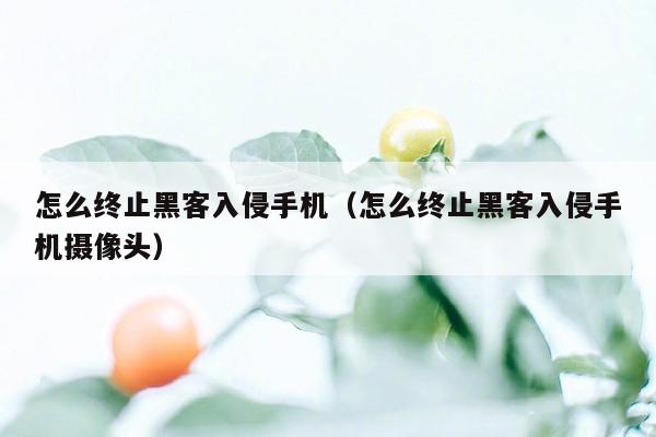 怎么终止黑客入侵手机（怎么终止黑客入侵手机摄像头）