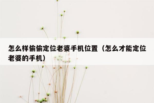 怎么样偷偷定位老婆手机位置（怎么才能定位老婆的手机）