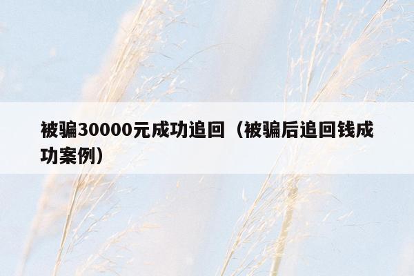 被骗30000元成功追回（被骗后追回钱成功案例）