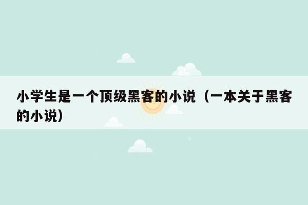 小学生是一个顶级黑客的小说（一本关于黑客的小说）