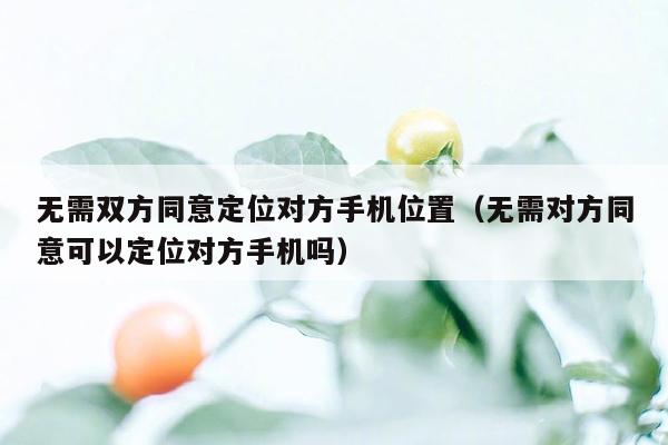 无需双方同意定位对方手机位置（无需对方同意可以定位对方手机吗）