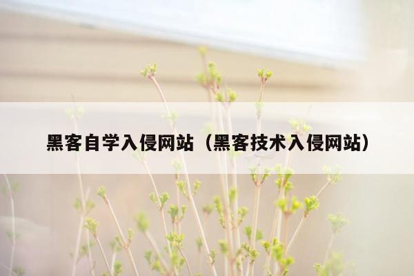 黑客自学入侵网站（黑客技术入侵网站）