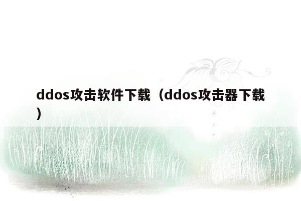 ddos攻击软件下载（ddos攻击器下载）