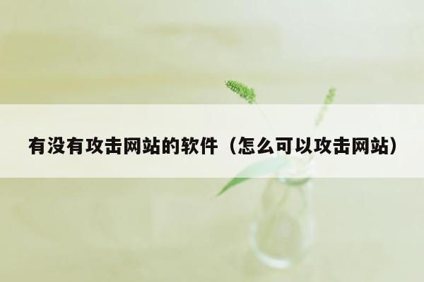 有没有攻击网站的软件（怎么可以攻击网站）